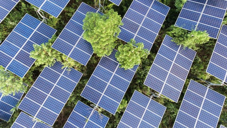 solar farm image